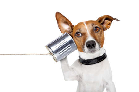 Dog on the phone with a can
