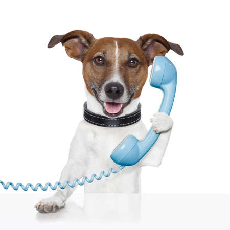 Dog on the phone talking and calling