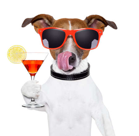 https://us.123rf.com/450wm/damedeeso/damedeeso1302/damedeeso130200009/17712456-refroidissement-chien-avec-un-cocktail-martini-rafraichissement.jpg