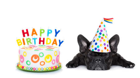 French bulldog with happy birthday cake and candles ,a party hat ,eyes closed , isolated on white background