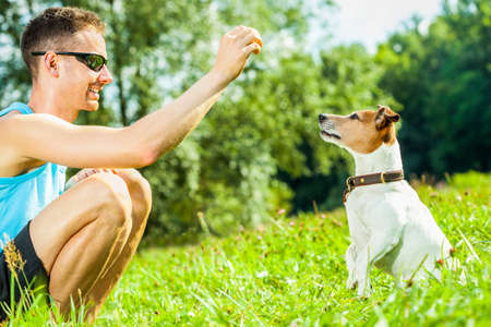 Jack Russell Hund Mit Besitzer Und Bereit Lederleine Für Jack Russell Hund Mit Besitzer Mit Leckerchen In Der Hand