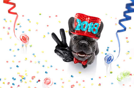 French bulldog dog celebrating new years eve with owner ,isolated on serpentine streamers and confetti , with victory, peace fingers