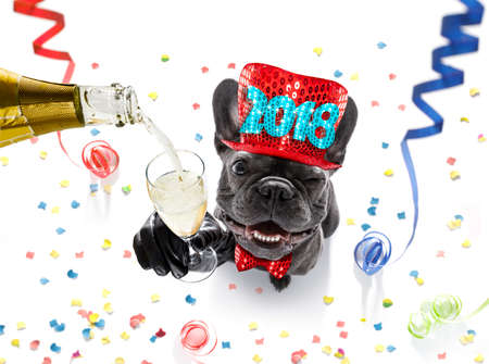 French bulldog dog celebrating new years eve with owner and champagne glass isolated onwhite with serpentine streamers and confetti Фото со стока