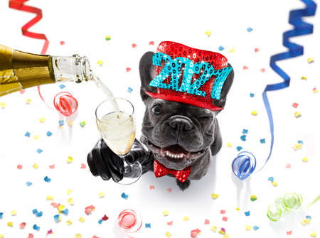 French bulldog dog celebrating new years eve with owner and champagne glass isolated on serpentine streamers and confetti Фото со стока