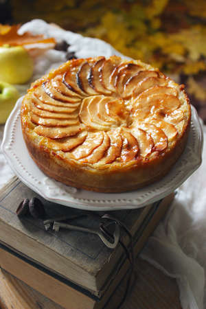 Apple Tart Rustic Style Selective Focus Photo Apple Tart Rustic Style Selective Focus Photo
