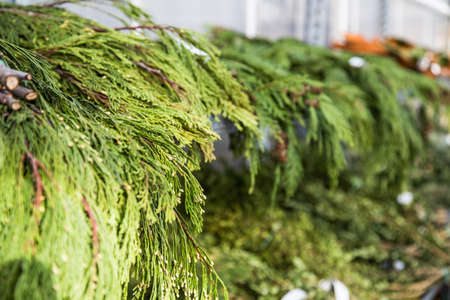 shelves of christmas greenery for making into fresh christmas stock photo picture and royalty free image image 66572612 - Fresh Christmas Greenery shelves of christmas greenery for making into fresh christmas stock photo picture and royalty free image image 66572612 - Fresh Christmas Greenery