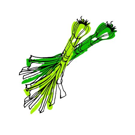 新鮮なニラ 漫画フラット スタイルで行われました 健康な菜食主義の栄養物 庭 ファーム製品 のイラスト素材 ベクタ Image 新鮮なニラ 漫画フラット スタイルで行われました 健康な菜食主義の栄養物 庭 ファーム製品 のイラスト素材 ベクタ Image