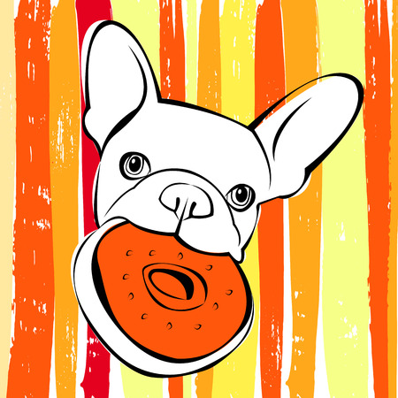 ブルドッグ 犬 動物 フランス ベクトル イラスト ペット 犬 かわいい子犬を描画 のイラスト素材 ベクタ Image