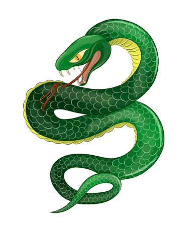 Snake green poisonous fantastic evil Stock Photo