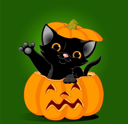 Black kitten jumping out from a Halloween pumpkin. Background is separate