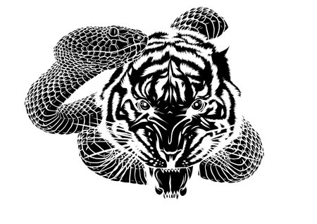 Snake and tiger fighting, tattoo illustration