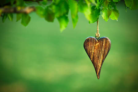 wooden shape of heart on natural green background with copy space - 46651597