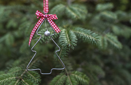 christmas tree shape on real pine tree christmas tree miniature shape on branch stock - Mini Real Christmas Tree christmas tree shape on real pine tree christmas tree miniature shape on branch stock - Mini Real Christmas Tree