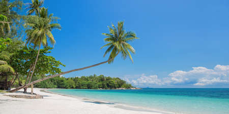 Tropical beach panorama with a leaning palm tree, Bintan island near Singapore, Indonesia - 97654416