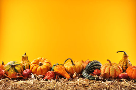 Thanksgiving ? many different pumpkins on straw in front of orange background with copyspace - 33351159