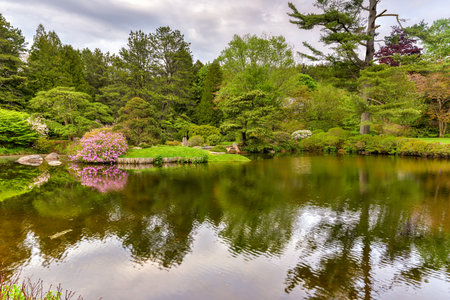 asticou azalea gardens in the japanese style in mount desert island maine stock photo - Asticou Azalea Garden asticou azalea gardens in the japanese style in mount desert island maine stock photo - Asticou Azalea Garden