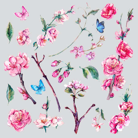 Peach flower: Set of watercolor Spring Nature elements, sprigs separately leaves flower, pink blooming branches cherry, peach, pear, sakura, apple trees and butterflies, isolated botanical watercolor illustration