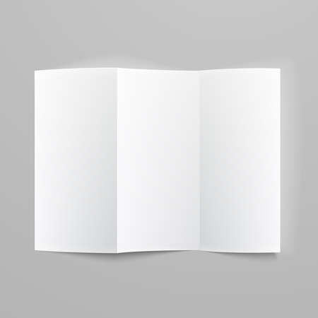 blank tri fold brochure