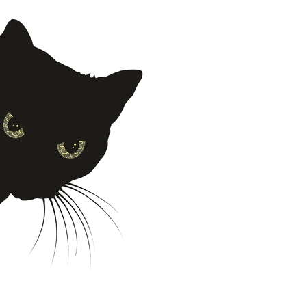 Predatory black cat.