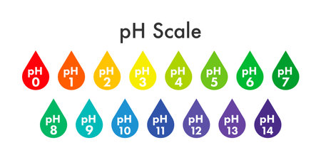 Ph-waarde schaalmeter. ph-analyse chemische schaalwaardetest. vector voorraad illustratie.