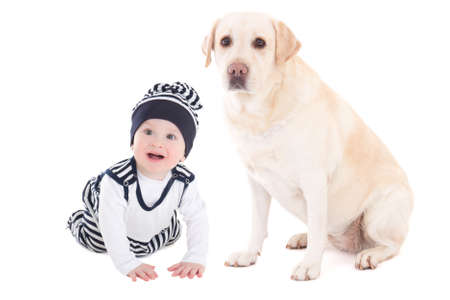Vue Arriere De Bebe Tout Petits Et Golden Retriever Chien Isole Sur Fond Blanc Banque D Images Et Photos Libres De Droits Image
