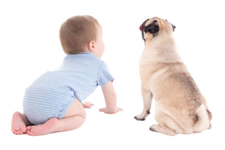 Vue Arriere De Bebe Tout Petits Et Chien De Roquet Isole Sur Fond Blanc Banque D Images Et Photos Libres De Droits Image Vue Arriere De Bebe Tout Petits Et Chien De Roquet Isole Sur Fond Blanc Banque D Images Et Photos Libres De Droits Image