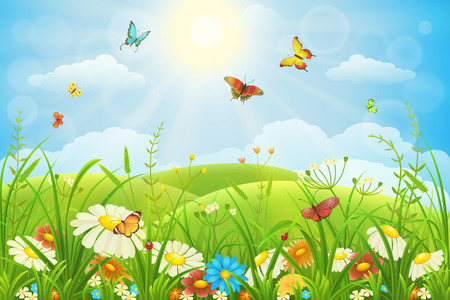 butterfly: Mùa hè hay mùa xuân đồng cỏ xanh tươi với những bông hoa đầy màu sắc và bướm