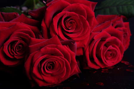 バレンタインデーのお祝いの愛と情熱の赤いバラの花束シンボルを提示します の写真素材 画像素材 Image 6984