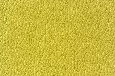 light olive green leather texture stock photo picture and royalty