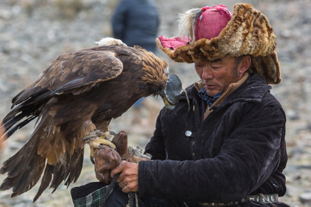 aigle hunter