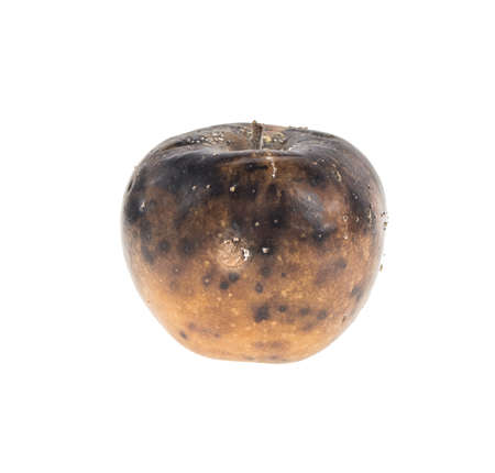 Rotten apple isolated on white background