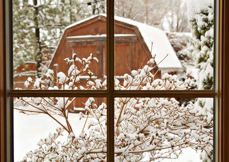 view outside my window View all 4 comments how early is spring this year april 2, 2018 climate change, phenology, plants, weather & sky kate st john “outside my window. view outside my window View all 4 comments how early is spring this year april 2, 2018 climate change, phenology, plants, weather & sky kate st john “outside my window.