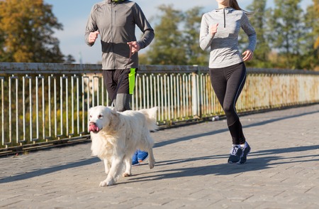 フィットネス スポーツ 人 ジョギング コンセプトはアウトドアで犬のランニングとカップルのクローズ アップ の写真素材 画像素材 Image