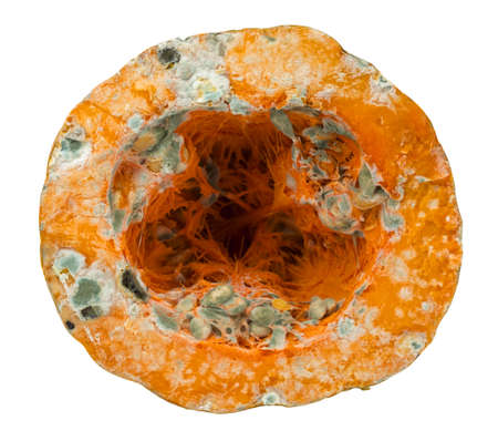 Pumpkin with a mold on a white background