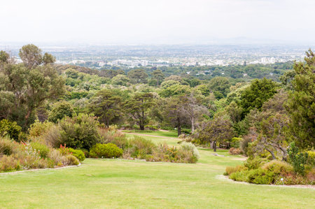 Die Ruhe Der Kirstenbosch National Botanical Gardens In Kapstadt