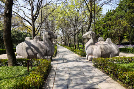 Shinto and stone statues of ming xiaoling tomb in nanjing Stock Photo