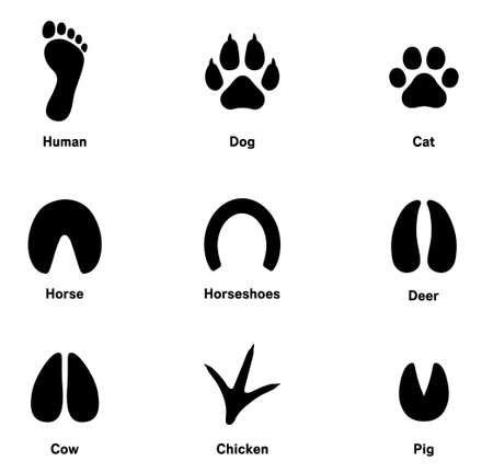 Various animals footprint icon set
