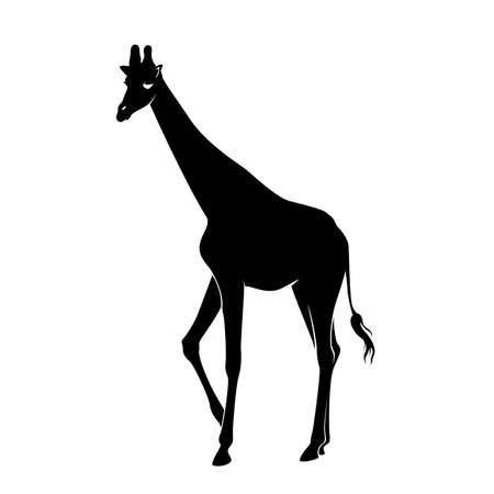 白の分離したキリンのシルエットのベクター イラストのイラスト素材 ベクタ Image