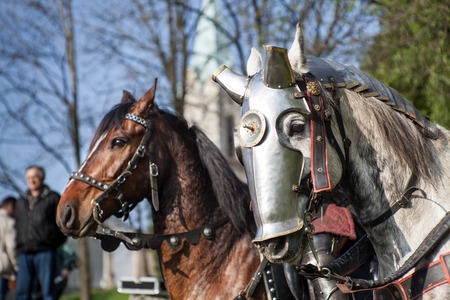 馬に乗った騎士。馬と槍を持った騎士鎧。中世の戦場で馬。の写真素材