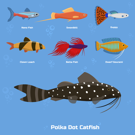 エキゾチックな熱帯の水族館の魚のイラスト素材 ベクタ Image