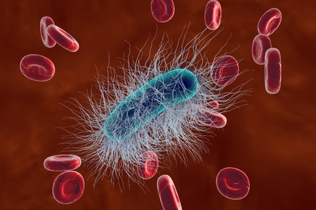 サルモネラ 腸内細菌 微生物 棒状の細菌 医療イラスト 科学的背景 微生物学背景のリアルなイラストの顕微鏡の図 の写真素材 画像素材 Image サルモネラ 腸内細菌 微生物 棒状の細菌 医療イラスト 科学的背景 微生物学背景のリアルなイラストの顕微鏡の図 の写真素材 画像素材 Image