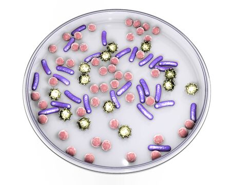 シャーレでは さまざまな形の微生物 感染症の検査診断のための概念 3 D イラスト 細菌やウイルス の写真素材 画像素材 Image シャーレでは さまざまな形の微生物 感染症の検査診断のための概念 3 D イラスト 細菌やウイルス の写真素材 画像素材 Image