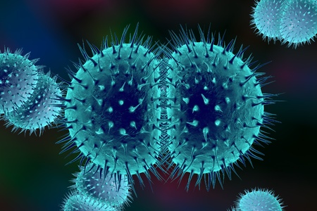 helminthiasis hogyan lehet meghatározni a paraziták papillómákat okoznak