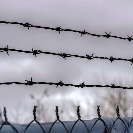 Square frame sharp barbed wires of rusty chain link fence with blurred cloudy sky background focus on a security fence of a private property against blurry skyscape Stock Photo