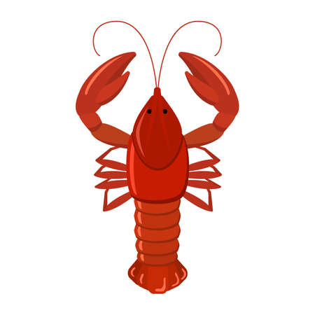 白い背景のザリガニ ザリガニのカラフルなスケッチをします 赤ザリガニの漫画イラスト ビールに調理されたザリガニは ベクトル のイラスト素材 ベクタ Image 白い背景のザリガニ ザリガニのカラフルなスケッチをします 赤ザリガニの漫画イラスト ビールに調理されたザリガニは ベクトル のイラスト素材 ベクタ Image