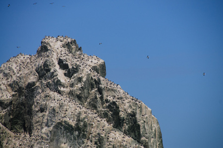 The Shag Rocks are six small, uninhabited, islands on the most western part of South Georgia. They are named after the South Georgian Imperial Shags, a sub-species of Comorants.