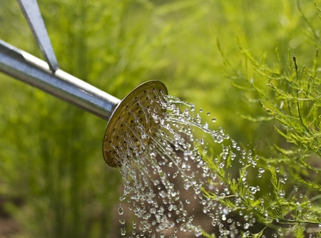 Watering can on the garden close up shoot