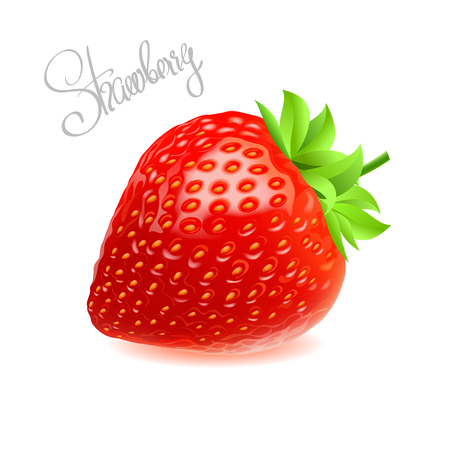 Vector illustration of red fresh tasty strawberry