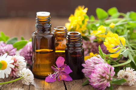 essential oils and medical flowers herbs - 29951668