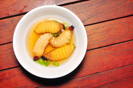 レッド パーム ゾウムシの幼虫またはココナッツ ワームまたはビンズオン ドゥアやサゴ ワーム ヤシオオオサゾウムシ ベトナムから の写真素材 画像素材 Image